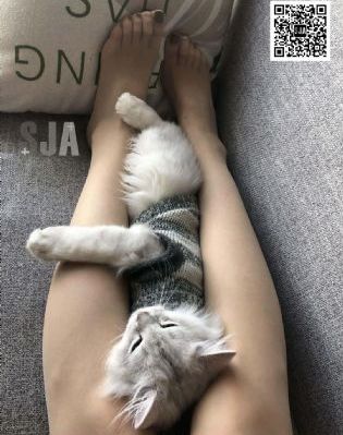 三分之情人_高清电影完整版在线观看