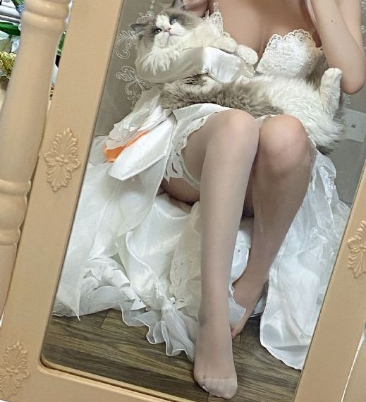 《终末的后宫》动漫_BD韩语高清视频播放