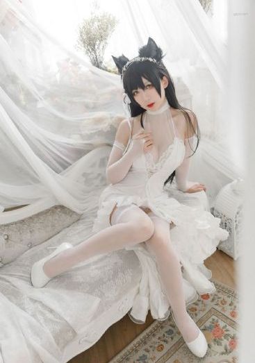 《裙子下有野兽》_DVD在线观看