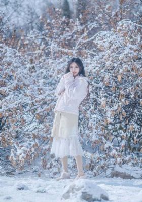 绿色的椅子_DVD国语在线观看